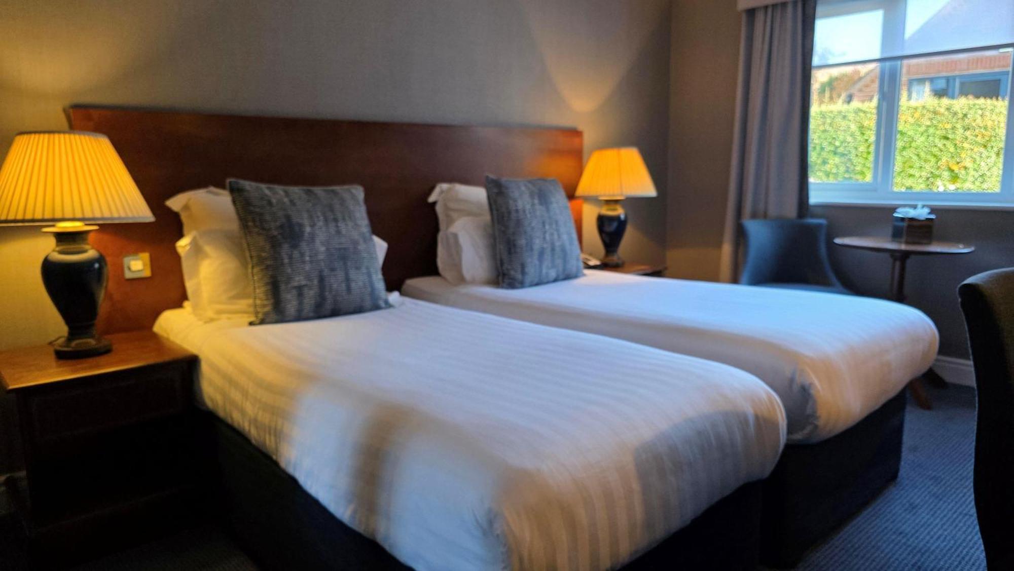 Executive Twin Room,1765818888:JPEG